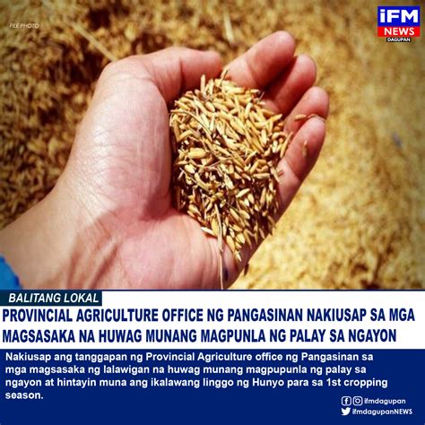Provincial Agriculture Office Ng Pangasinan Nakiusap Sa Mga Magsasaka