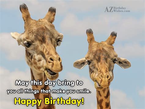 Birthday Wishes With Giraffe Birthday Images Pictures