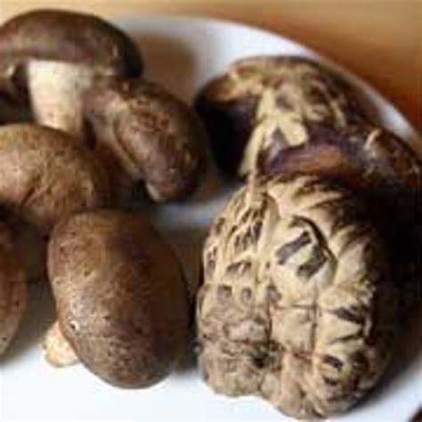 Can You Eat Shiitake Mushrooms Raw Postureinfohub