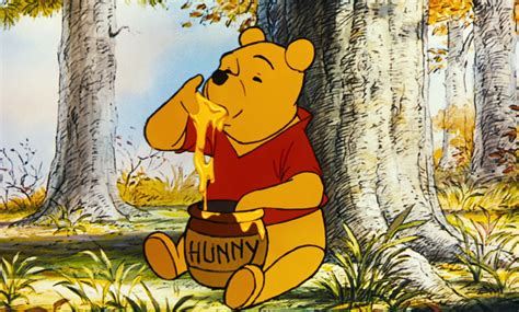 Winnie The Pooh Likes Honey