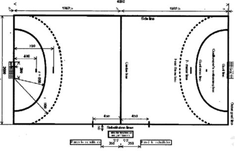Draw and label a standard basketball court tield. Draw a neat labelled diagram of a Handball court giving ...