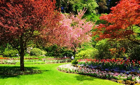 Alle informationen wurden zum letzten mal am 05. Gartenbauer Deggendorf: Gartenbau Deggendorf