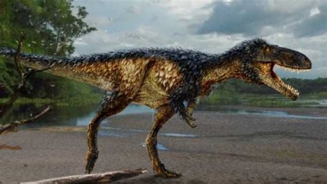 This page is an introduction about stock dinosaurs. New Tyrannosaur Species Reveals How King Of The Dinosaurs ...