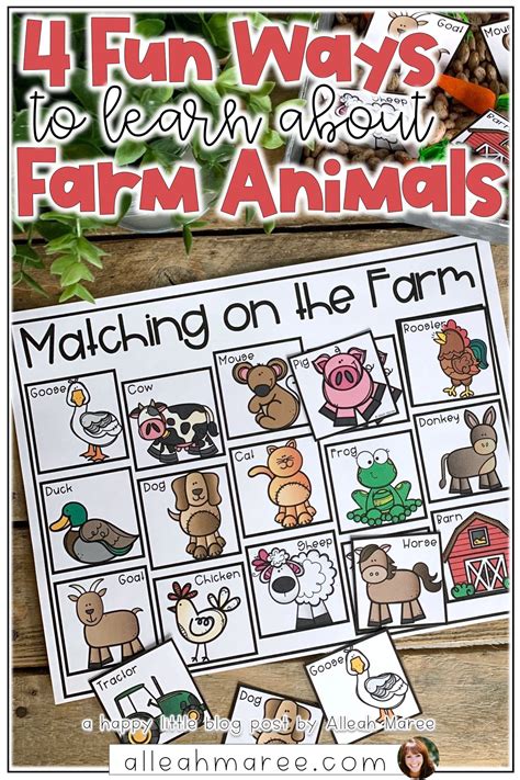 Learning About Farm Animals With Your Preschooler Toddler Or