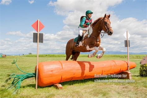Carrot Cross Country Jump Rebecca Farm Horse Crazy Horse Love Horse