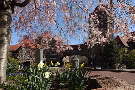 Forest Hills Gardens Corporation To Open Station Square To Traffic