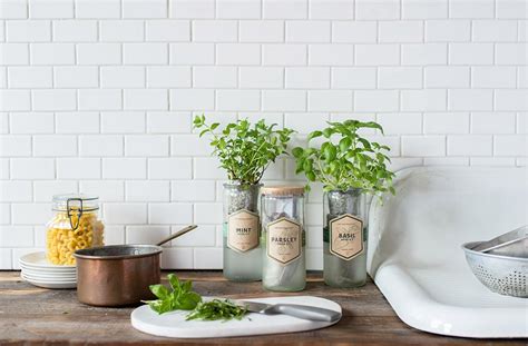 The gift that keeps on giving. Buy Modern Sprout Eco Planter Basil from Canada at Well.ca ...