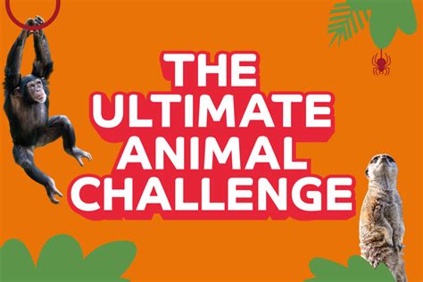 The Ultimate Animal Challenge Whipsnade Zoo