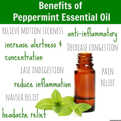 Incredible Benefits Of Peppermint Essential Oil My Health Only