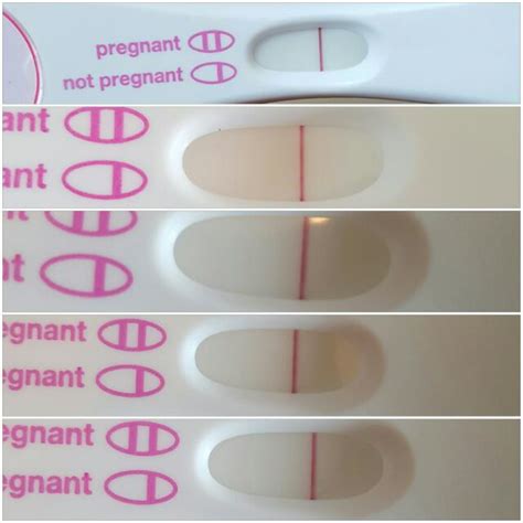 4 Different Tests One Taken With One Hour Urine Hold Indentevap Or