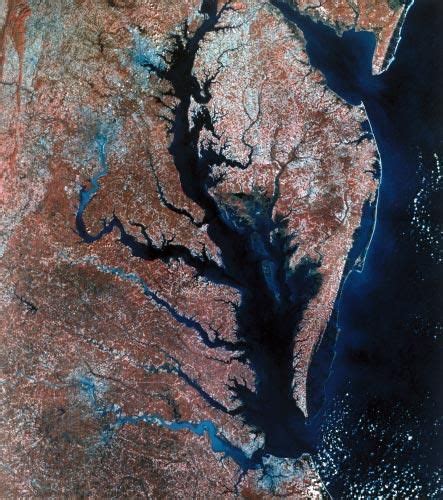 Chesapeake Bay Landsat Usgs Nasa Image Satellite