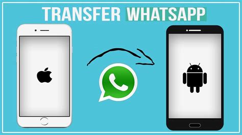 2022 New Quickly Transfer Whatsapp From Iphone To Android