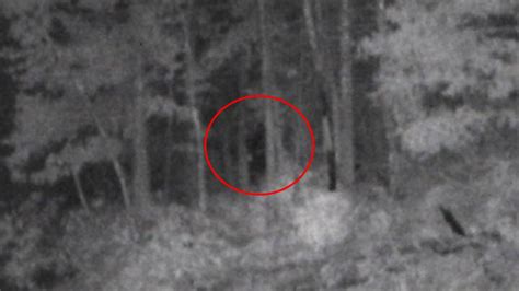 Did Men Capture Photo Of A Bigfoot By North Carolina Lake Durham