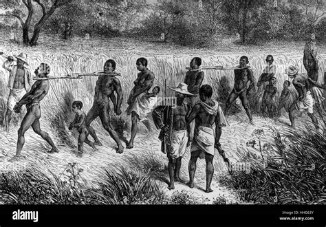 En Convoi D Esclaves En Afrique De L Ouest 1848 Photo Stock Alamy