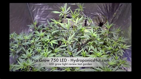 ● full spectrum for growing cycle ● new smd chip, higher output, longer lifespan ● coverage:3.5'x3.5'(100x100cm). LED grow light review: Pro Grow 750 LED - Updated 2015 ...