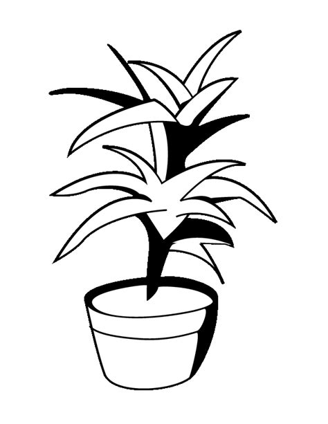 Plant Coloring - Coloring Home