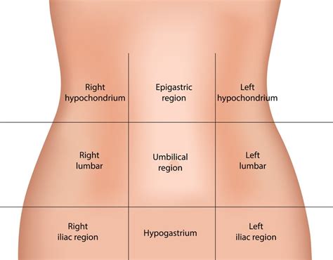 Yes these are not palpable physically. Upper Abdominal Pain: Find Out What is Causing It and What ...