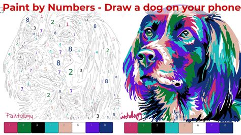 An Actual Paint By Numbers Drawing Dog Colorful