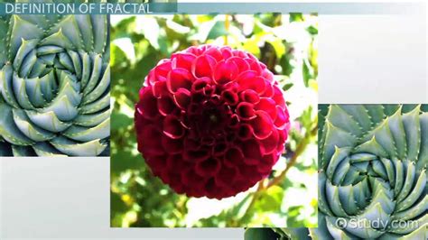 It was just arithmetic adjacent life skills, like how to write a check. Fractals in Math: Definition & Description - Video ...