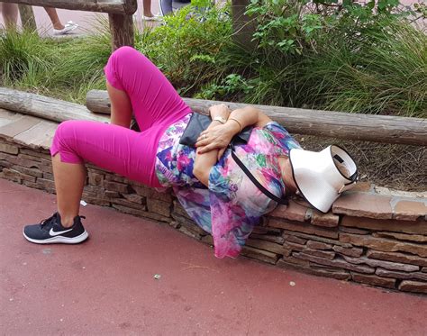 Seeing People Passed Out Around Disney World Is My New Favourite Thing
