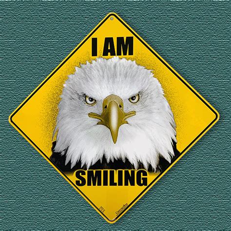 I Am Smiling Eagle Sign American Eagle Foundation