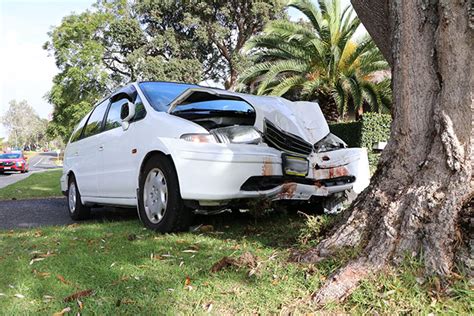 Sunlive Car Hits Tree In Tauranga The Bays News First