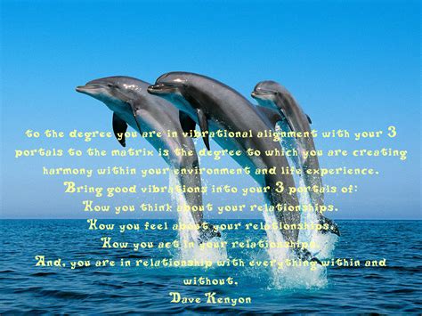 Quotes About Dolphins Quotesgram