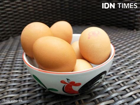Telur Bebek Vs Telur Ayam Mana Yang Lebih Sehat