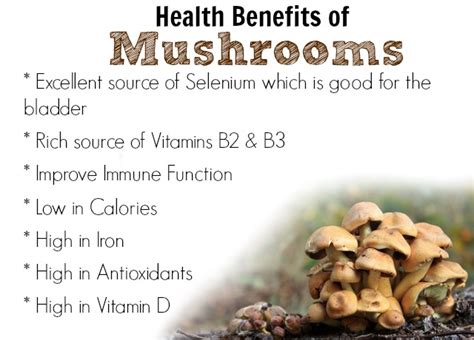 Amazing Health Benefits Of Eating Mushrooms Is Mushrooms Good For You