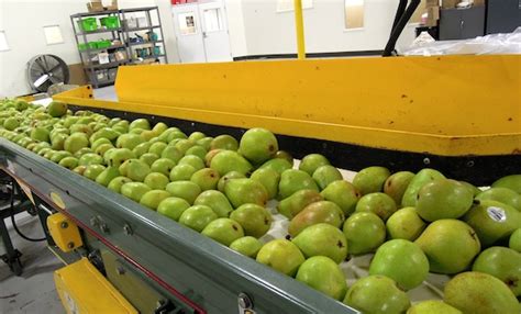 An all volunteer group who helps to harvest extra fruit from backyards in alameda and donate it to the alameda food bank. At the Alameda County Food Bank, Volunteers Get Nourished ...