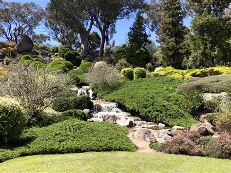 Jta provides quality japanese tools, supplying woodworkers and hobbyists throughout australia and various international locations. Cowra Japanese Gardens : Exploring Edo Japan In Australia ...