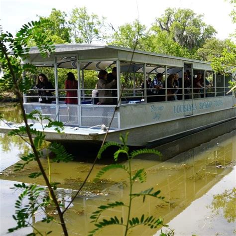Swamp Tour Boat With Nola Pickup New Orleans Swamp Tours In 2020
