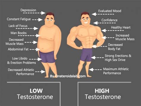 testosterone the ultimate guide for men