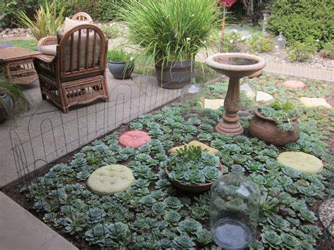 Succulent plants can be placed indoors as well as outdoors. Jenny Tabarracci: Succulent Cutting Gardens