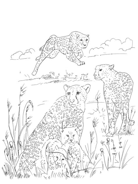 Click the baby cheetah coloring pages to view printable version or color it online (compatible with ipad and android tablets). Cheetah coloring pages. Download and print Cheetah ...