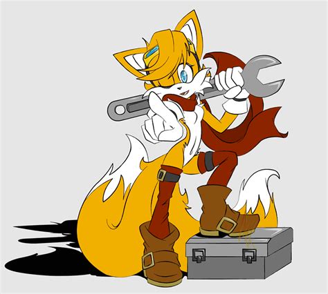 Bromance Ariciul Sonic Sonic Forces Rule 34 Sonic Boom Tails Fan