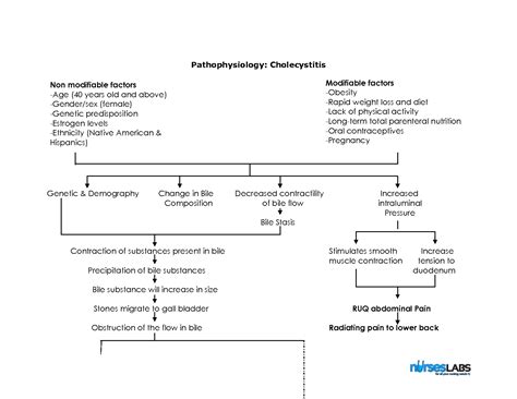 Acute cholecystitis is inflammation of the gallbladder that develops over hours, usually because a gallstone obstructs the cystic duct. DIAGRAM Dementia Pathophysiology Diagram FULL Version HD ...