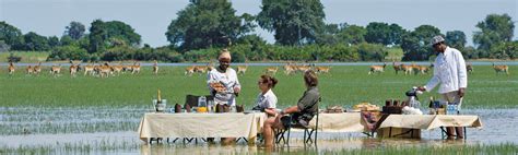 Click on the first link on a line below to go directly to a page where natural habitat is defined. Our Definition of Luxury Travel | Natural Habitat Adventures