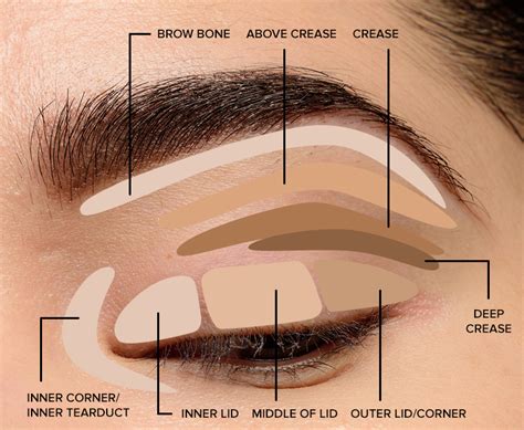 How To Put Eyeshadow Step By Step Mundoalbiceleste Blog