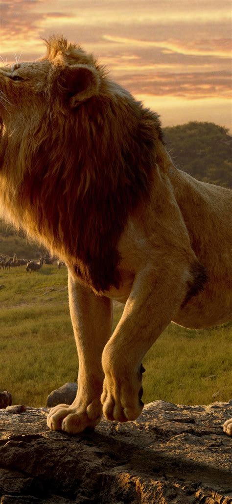 1080x2340 Resolution Lion From The Lion King 1080x2340 Resolution