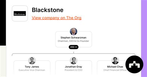 Blackstone Org Chart Teams Culture And Jobs The Org