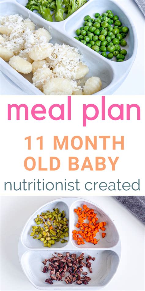 11 Month Old Meal Plan Baby Food Ideas Recipes And Schedule Easy