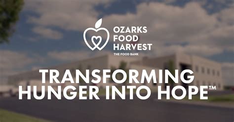Sort and repack donated product; Ozarks Food Harvest