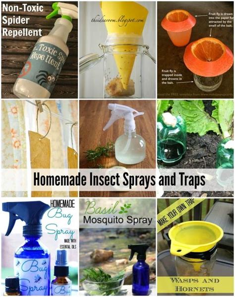 Homemade Natural Insect Sprays and Traps | Insect spray, Natural insect spray, Natural homemade