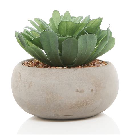 Myt Life Like Green Artificial Succulent Plant In Round Modern Gray