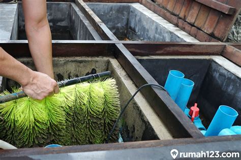 8 Cara Membuat Kolam Ikan Koi Sendiri Di Rumah Mudah Dan Praktis