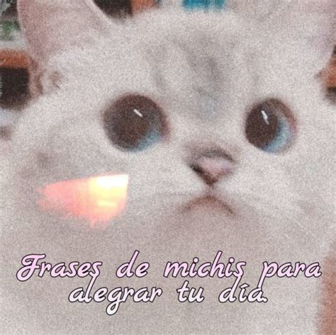 Alfonso zayas, increíble amigo y mejor persona , deja una enorme huella en el medio del espectáculo… falleció el actor de cine y televisión alfonso zayas, destacado comediante. El minuto que cambió mi destino - ¿Fue novia Maribel ...