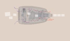 The Digestive System of the Panda Bear :) by Shelby Piels on Prezi