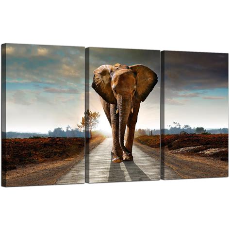 Large African Elephant Canvas Prints 3 Part For Your Hallway