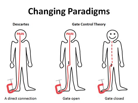 While it is perhaps the most influential theory of pain perception, gate control is not without problems. The Gate Control Theory of Pain - activelifescientific.org